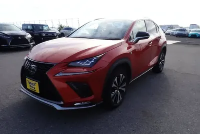 2019 Lexus NX